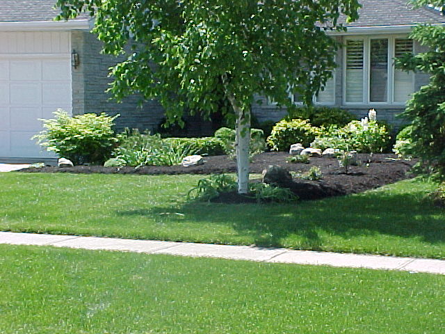 Lawn in Guelph